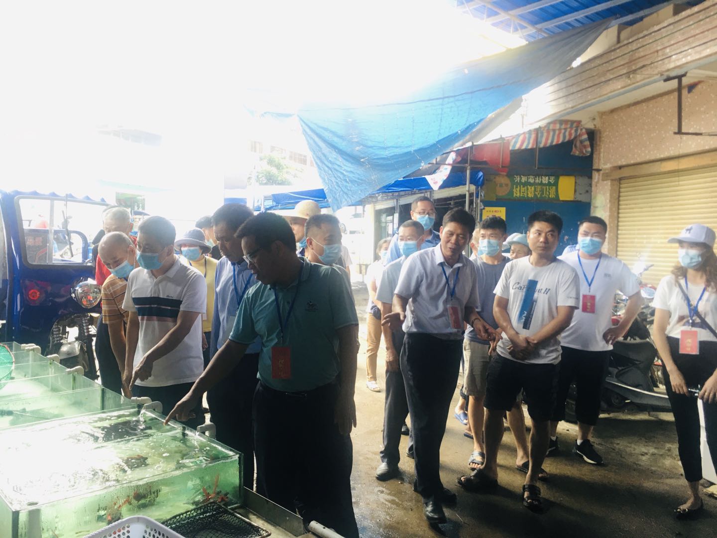 1627286887547820.jpg 1627286887547820.jpg