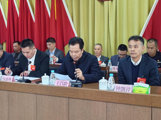 1734682099196045.png 【镇街人大】吴阳镇人大:吴阳镇第十八届人民代表大会第七次会议胜利召开409.png