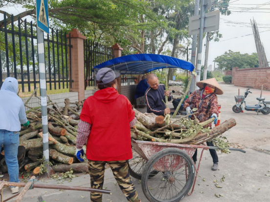 1735122563326303.png 2024年12月25日人大代表积极履职,实干助力“百千万工程”走深走实263.png