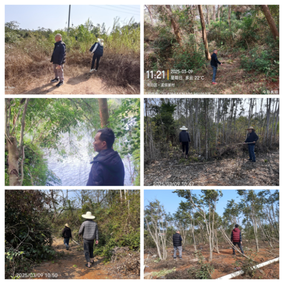 【镇街人大】王村港镇人大：人大代表护航生态  严督非法捕猎整治工作278.png