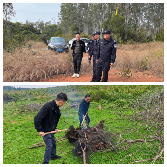 【镇街人大】王村港镇人大：人大代表护航生态  严督非法捕猎整治工作295.png