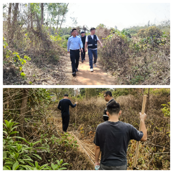 【镇街人大】王村港镇人大：人大代表护航生态  严督非法捕猎整治工作434.png