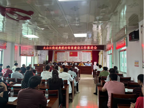 大山江人大：对标先进学经验 凝心聚力促振兴711.png