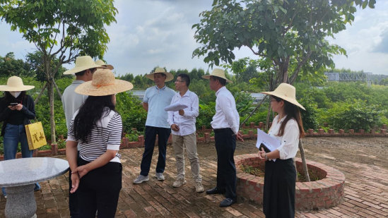许剑桢率队到浅水镇、塘缀镇调研典型村建设情况暨风貌管控提升示范带连片打造工作158.png
