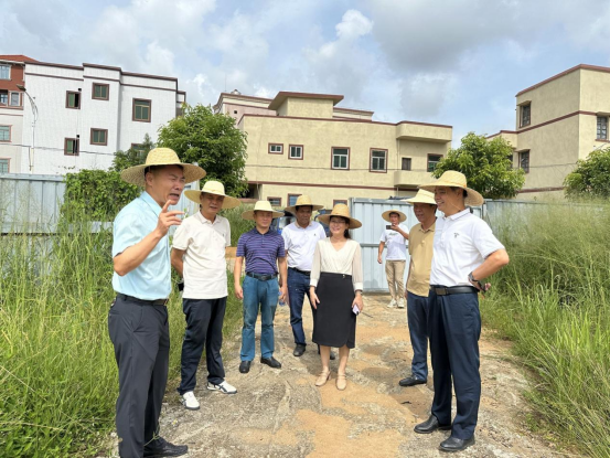 1753085720360754.png 【代表主题活动】许剑桢率驻吴湛江市人大代表到塘尾街道开展调研并进展接待群众531.png