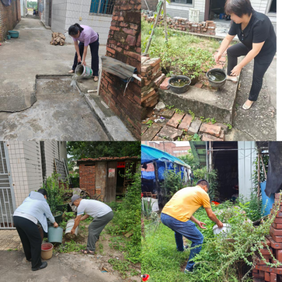 【镇街人大】吴阳镇人大：人大代表协同作战  筑牢基孔肯雅热与登革热防控坚固屏障455.png