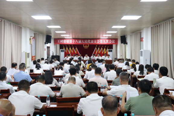 【镇街人大】王村港镇人大：王村港镇第十八届人民代表大会第九次会议胜利召开393.png