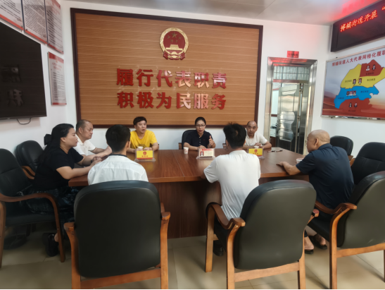 【镇街人大】博铺街道人大：代表听民意察民情 深化百千万工程实施206.png