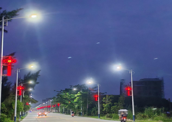 【镇街人大】吴阳镇人大：人大代表切实履行监督职责 有力推动路灯照明项目落地见效464.png