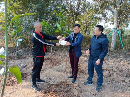 2025.1.21【镇街人大】梅菉街道人大：助力绿美吴川建设 人大代表在行动150.png