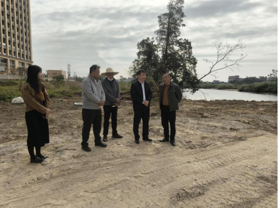 1768382041899094.png 陈勇到振文镇调研督导 赋能镇域发展与民生改善629.png