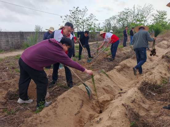2026年3月19日不负春光添新绿 履“植”尽责显担当180.png